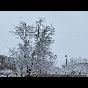 Meet your Posher, Abel